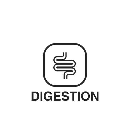 HEALTH (4).png__PID:e79ae6bc-3280-4698-91c4-9cd98fa771c4